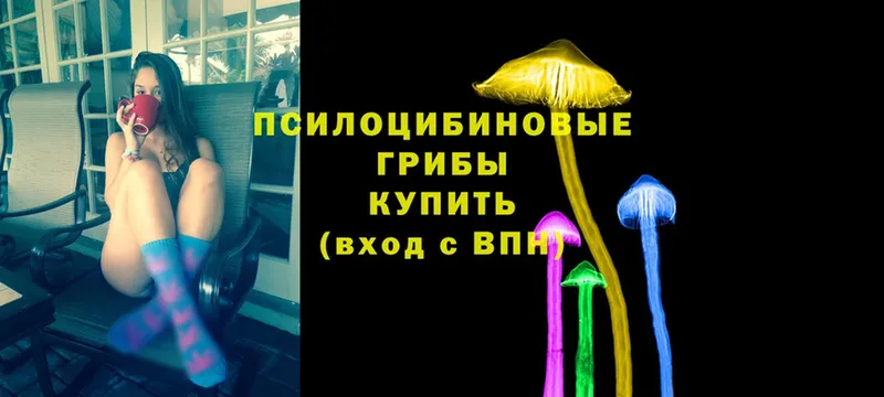 Псилоцибиновые грибы Magic Shrooms  Михайловск 